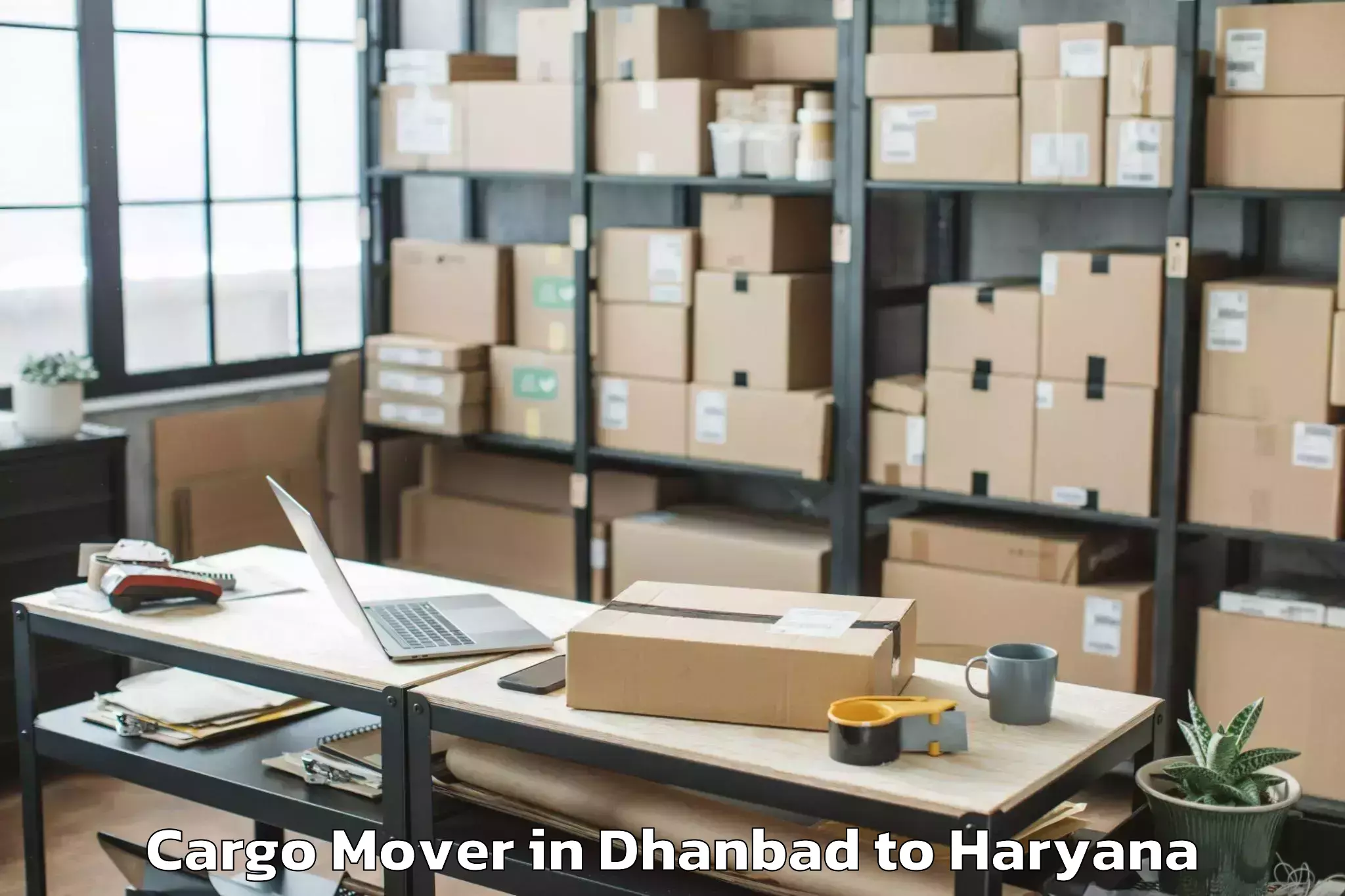 Top Dhanbad to Jagan Nath University Jhajjar Cargo Mover Available